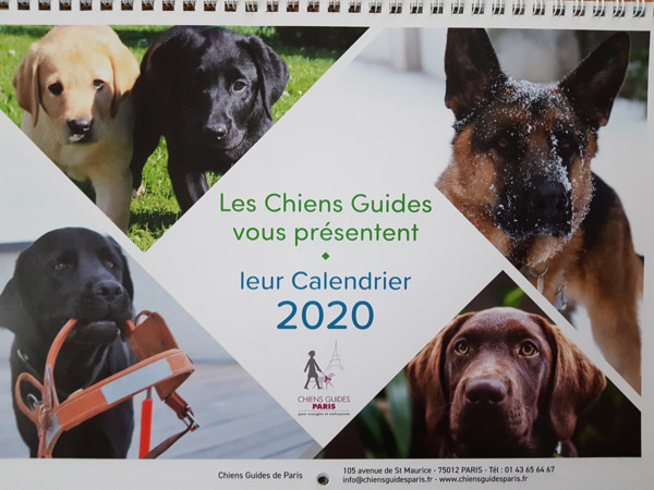 Calendrier des Chiens Guides de Paris – Emma Fréry